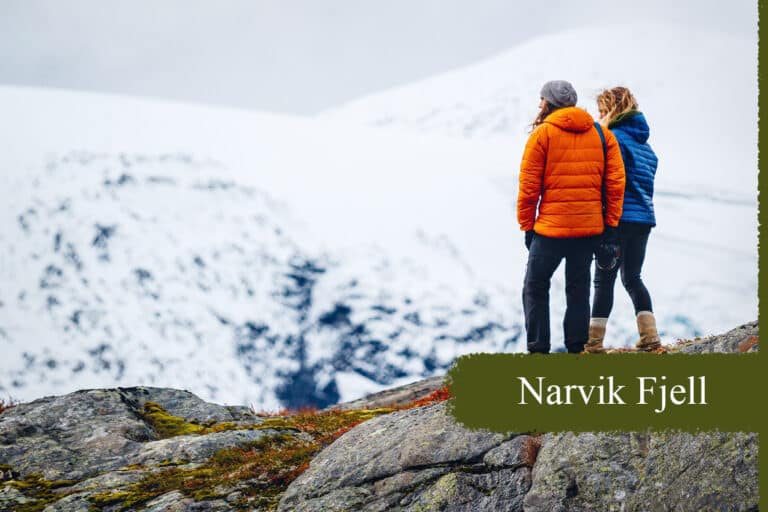 Spektakulære turer på Narvikfjell