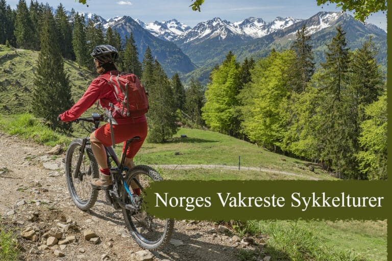 Utforsk Norges vakreste sykkelturer